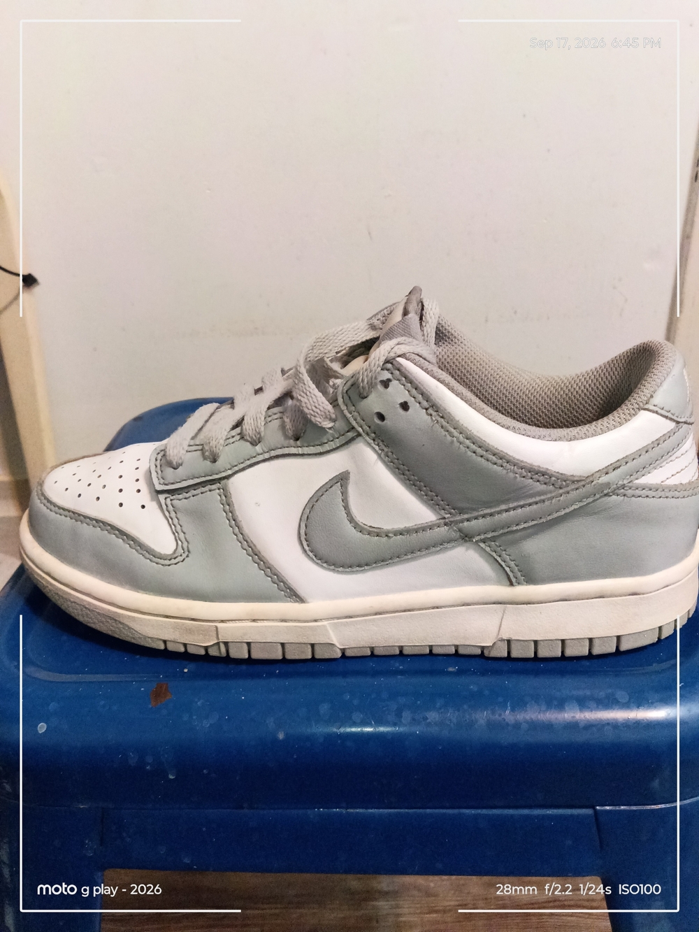 Youth Nike Dunk Low